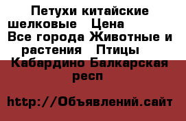 Петухи китайские шелковые › Цена ­ 1 000 - Все города Животные и растения » Птицы   . Кабардино-Балкарская респ.